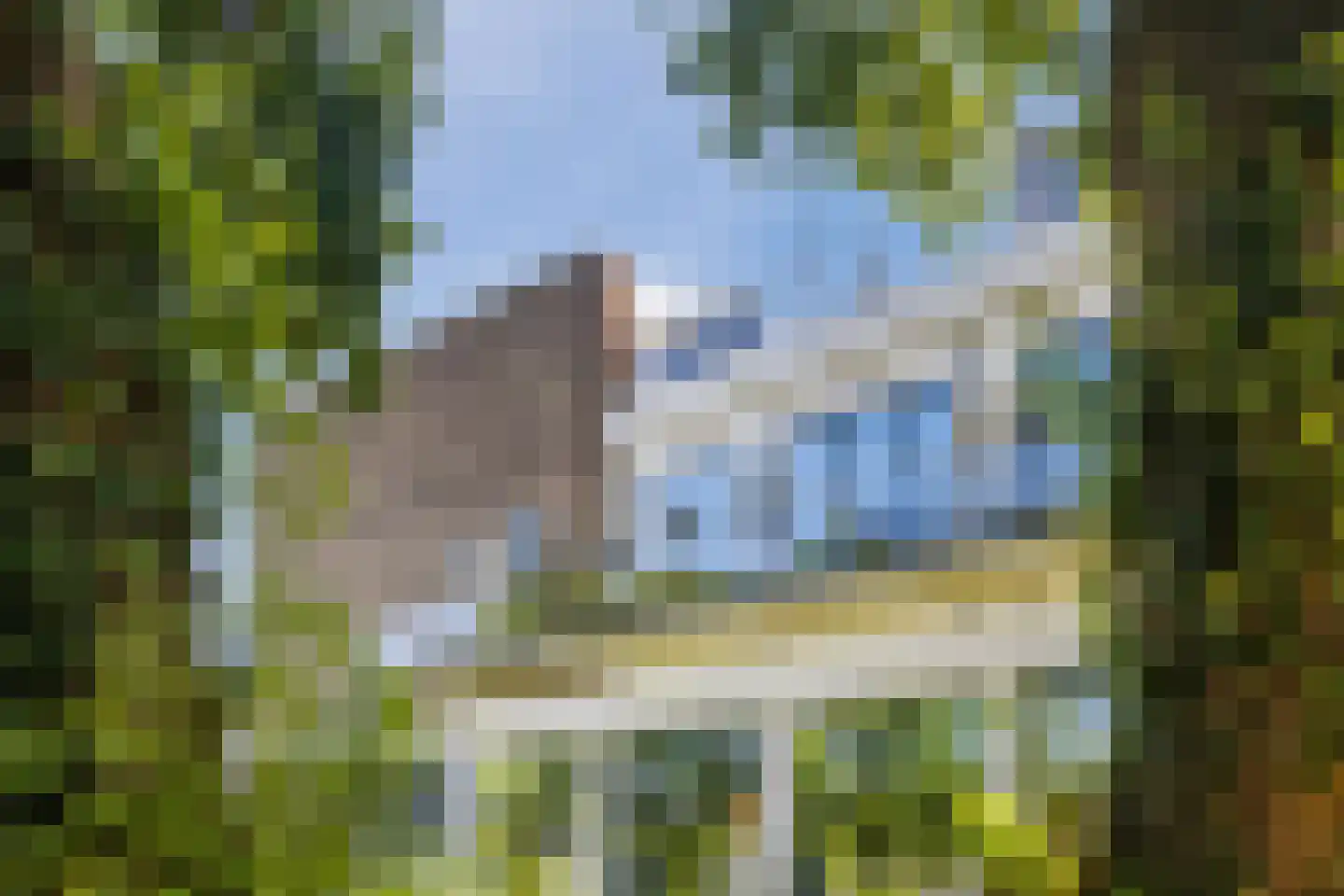 Zwijsenhof 116 Veghel foto 2