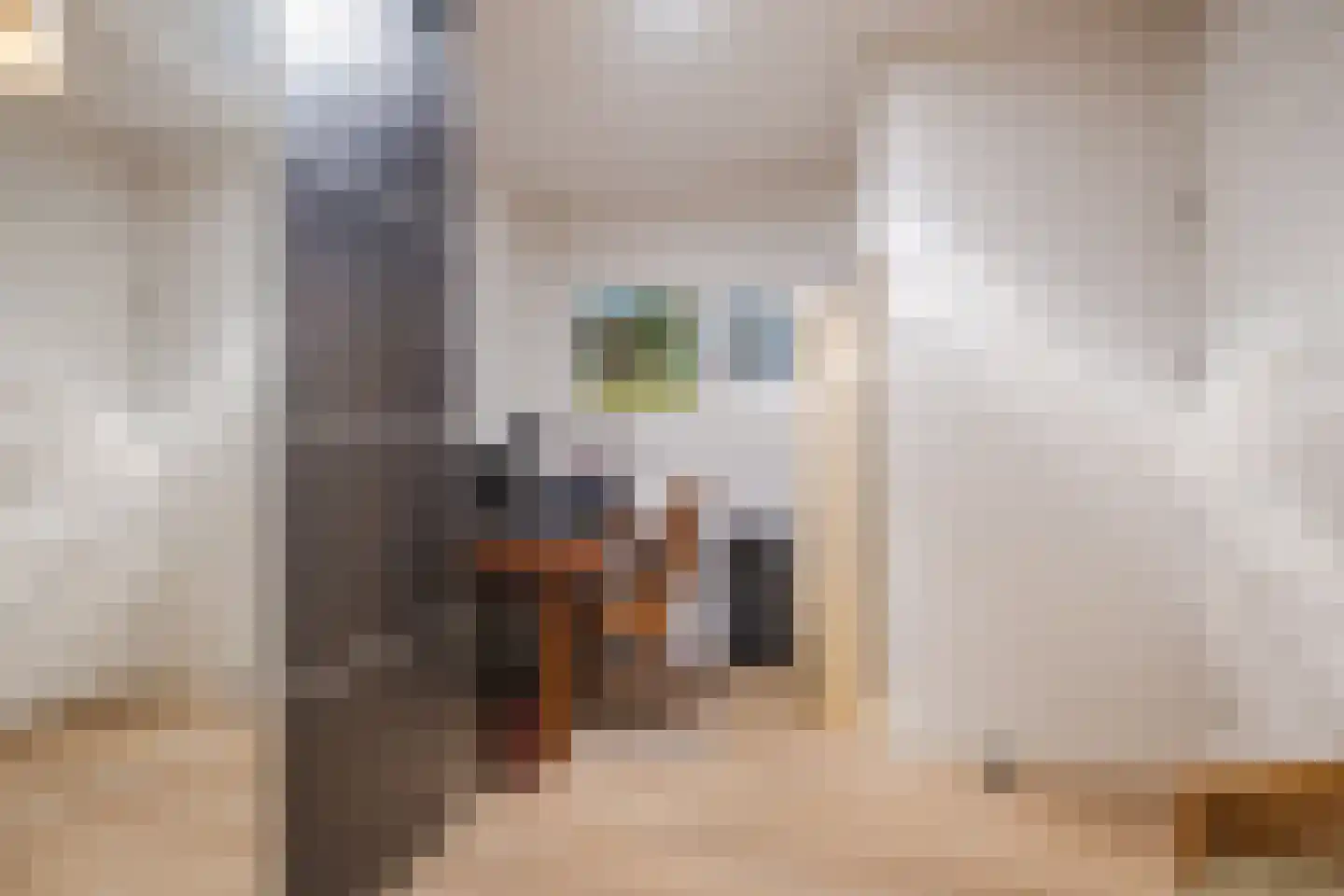 Zwijsenhof 116 Veghel thumbnail 25