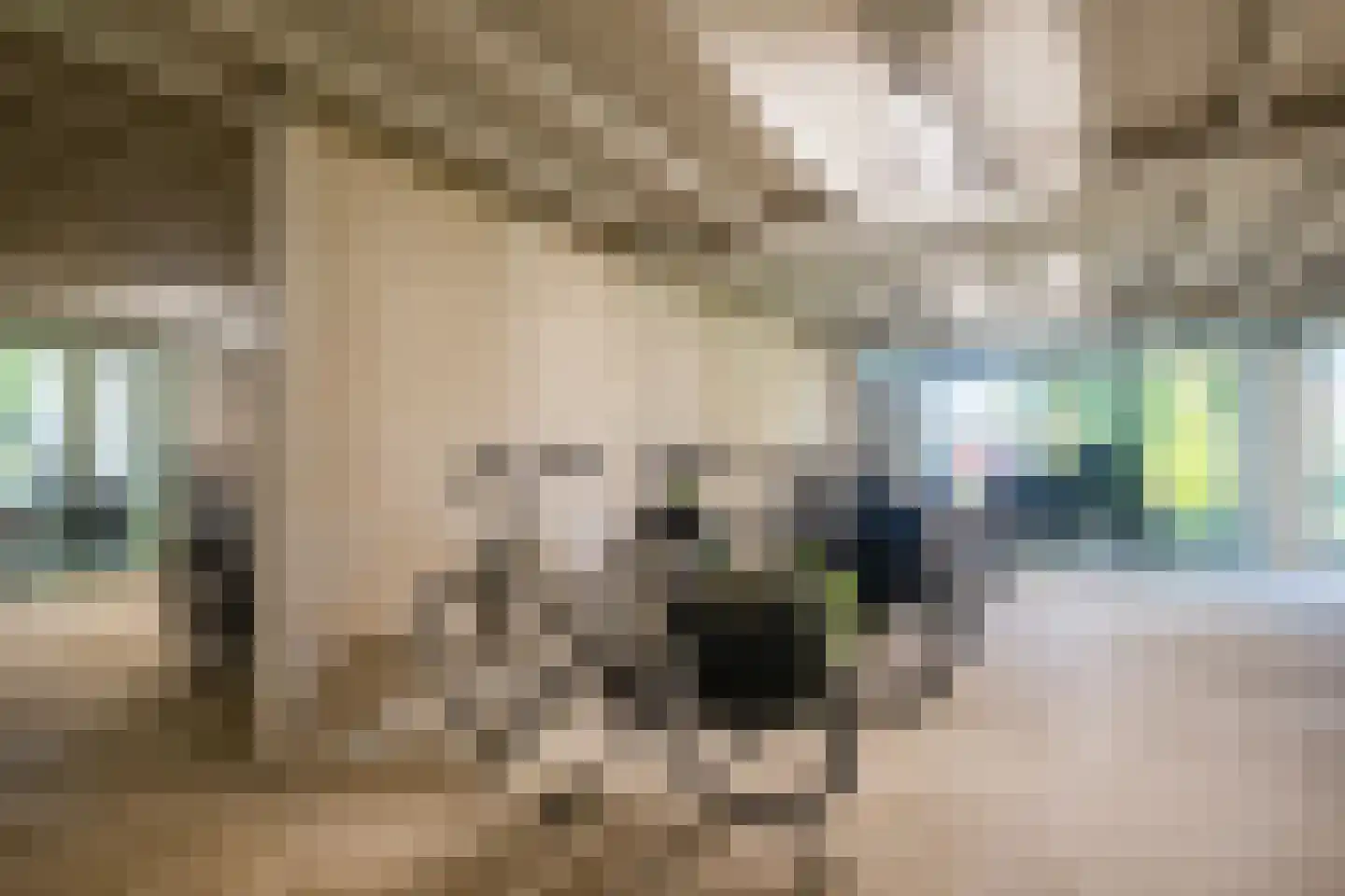 Zwijsenhof 116 Veghel thumbnail 29