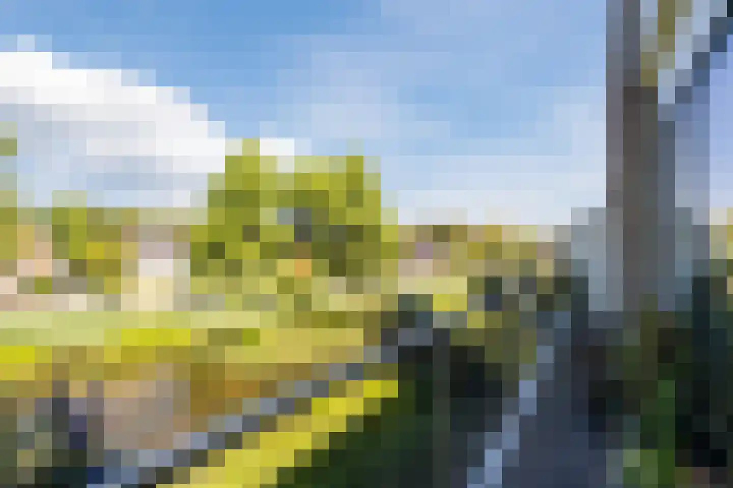 Zwijsenhof 116 Veghel thumbnail 4