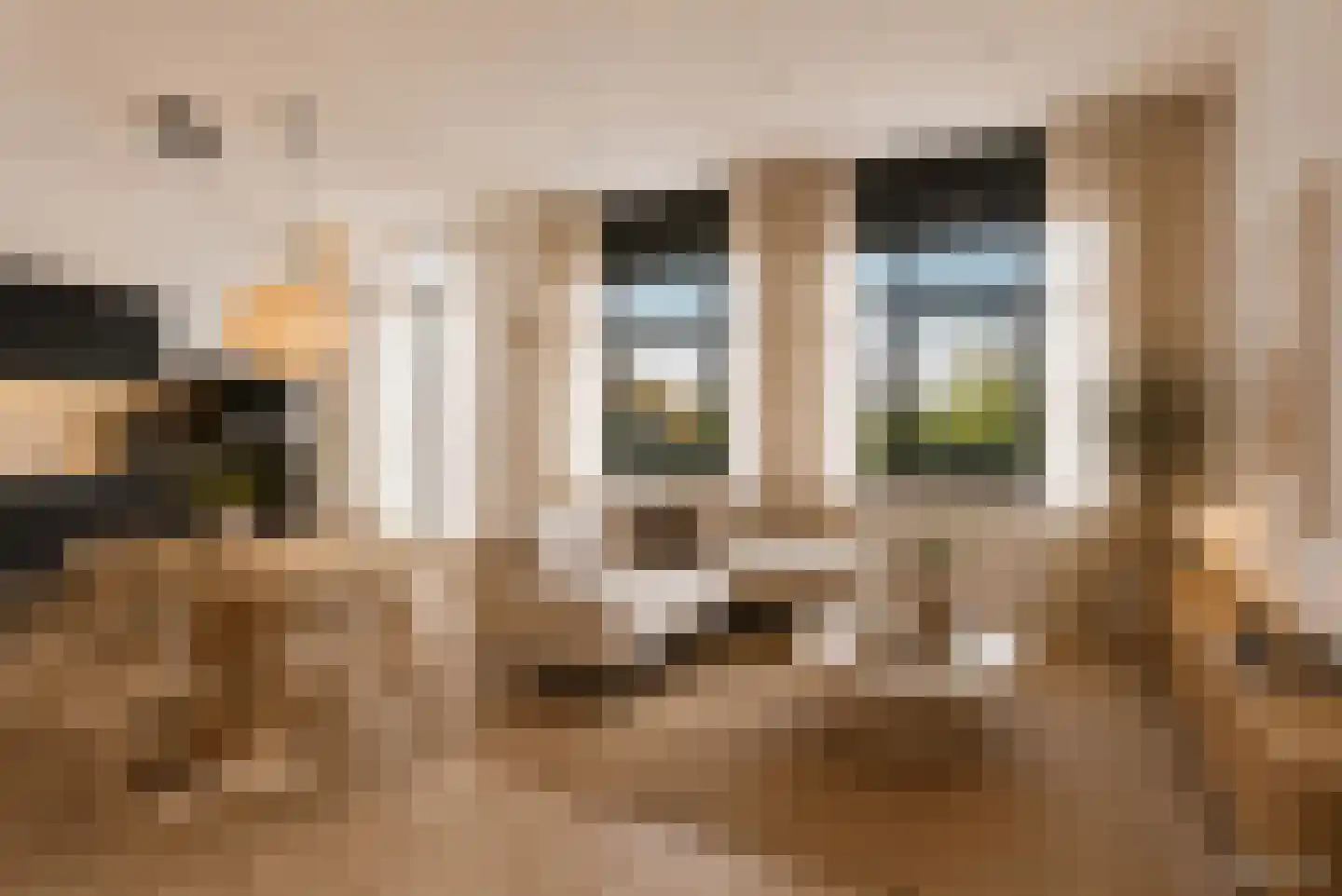 Zwijsenhof 45 Veghel thumbnail 11