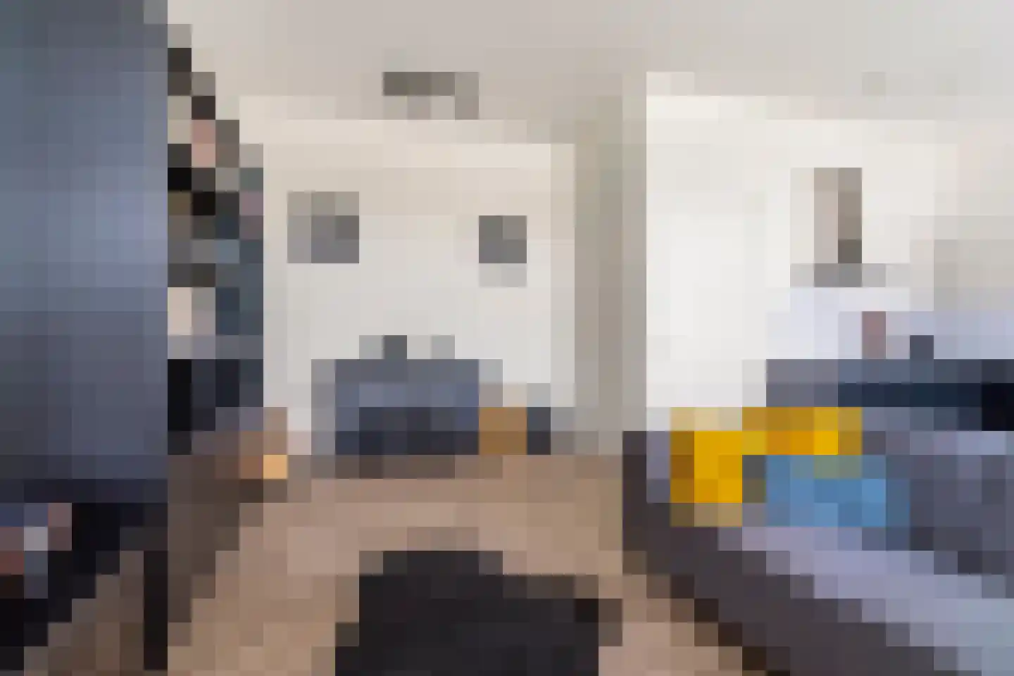Zwijsenhof 45 Veghel thumbnail 14