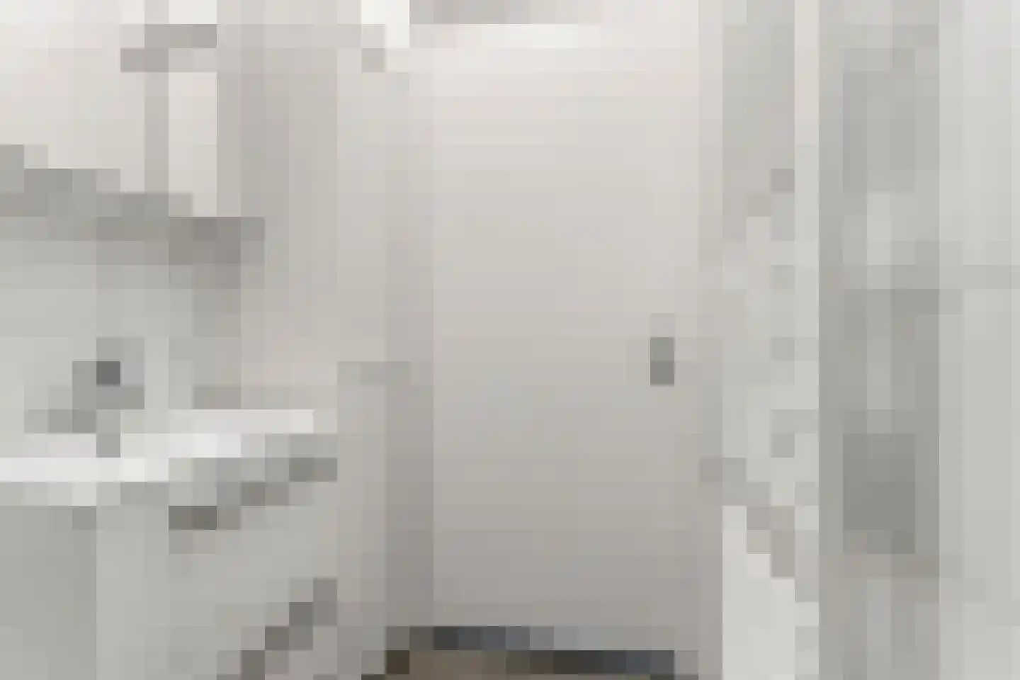 Zwijsenhof 45 Veghel thumbnail 26