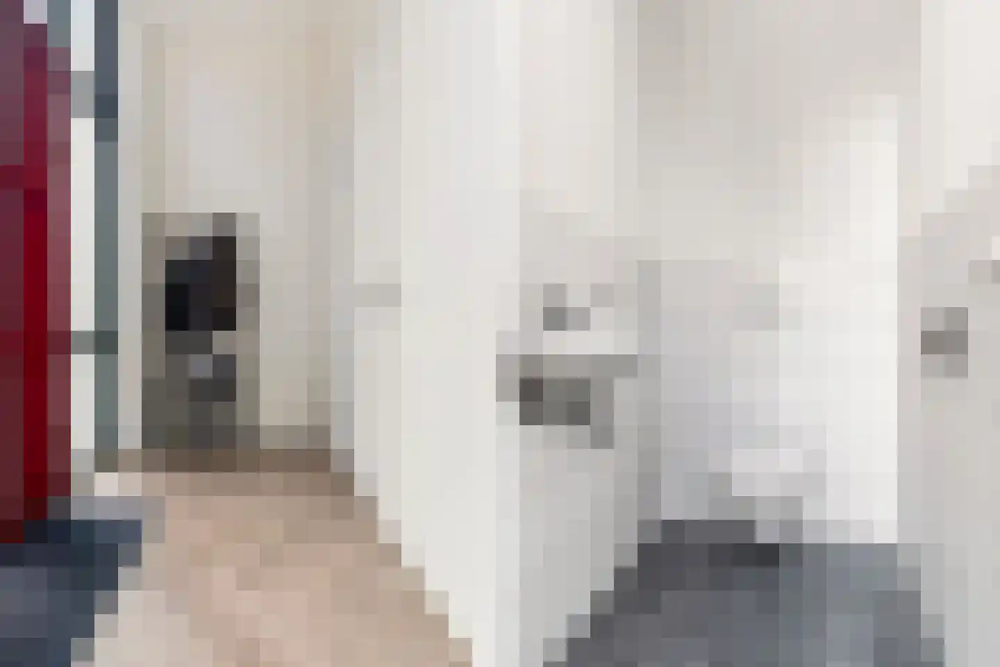Zwijsenhof 45 Veghel thumbnail 27