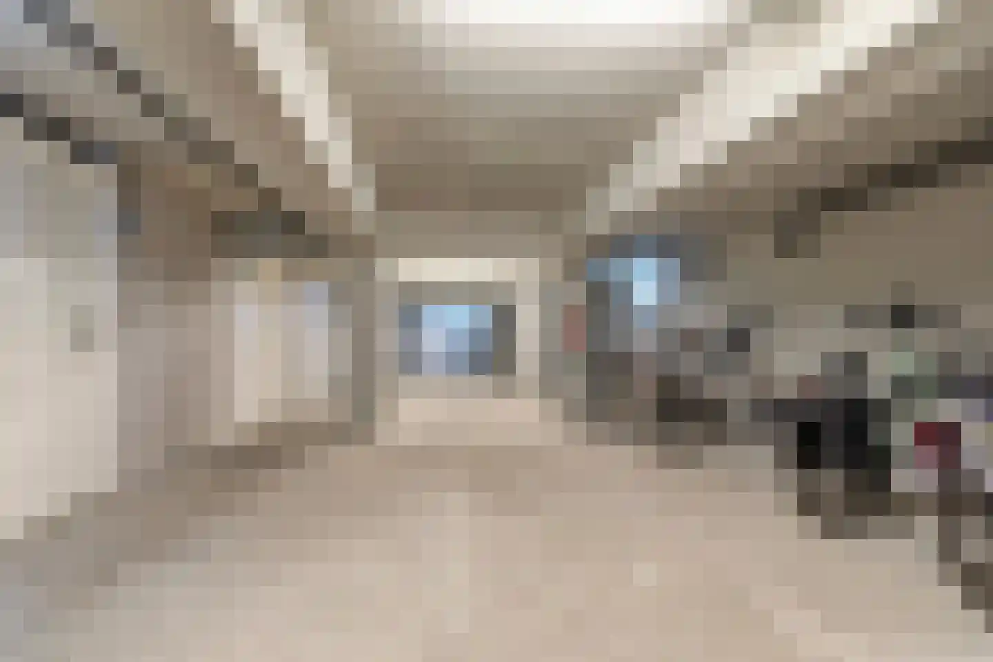 Zwijsenhof 45 Veghel thumbnail 31