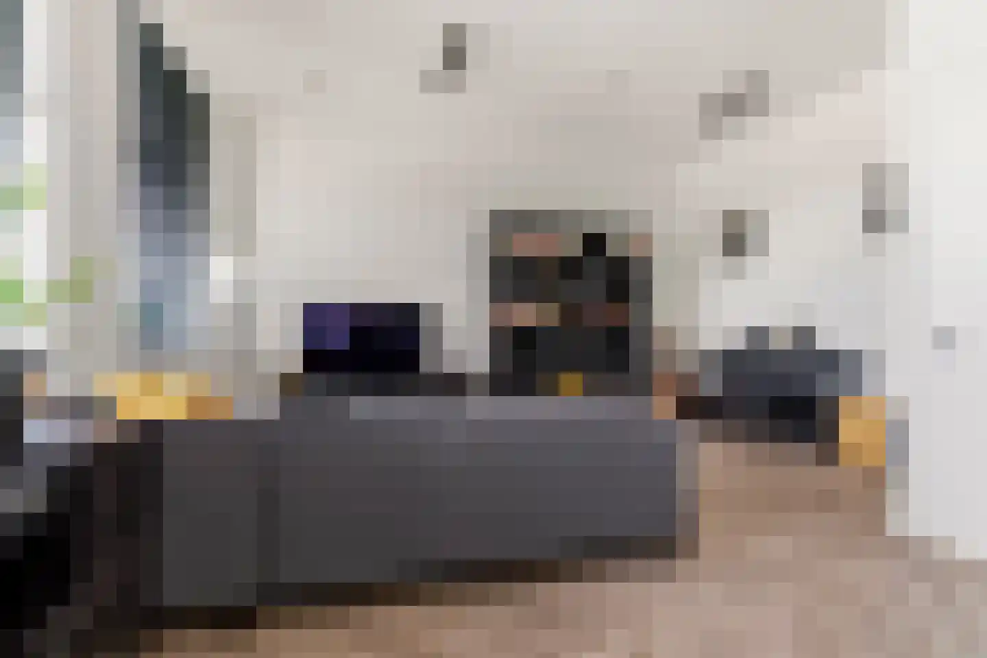 Zwijsenhof 45 Veghel thumbnail 8