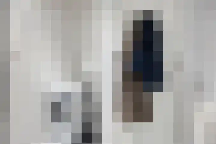 Zwijsenhof 51 Veghel thumbnail 14