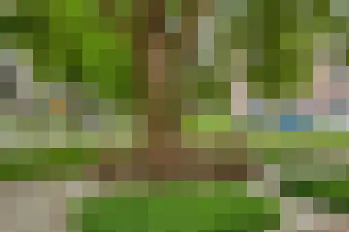 Zwijsenhof 51 Veghel thumbnail 20