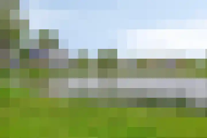 Zwijsenhof 51 Veghel thumbnail 21