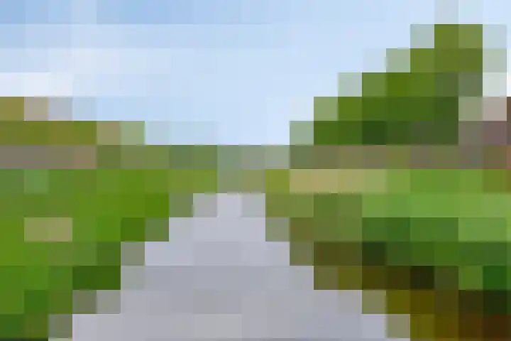Zwijsenhof 51 Veghel thumbnail 22
