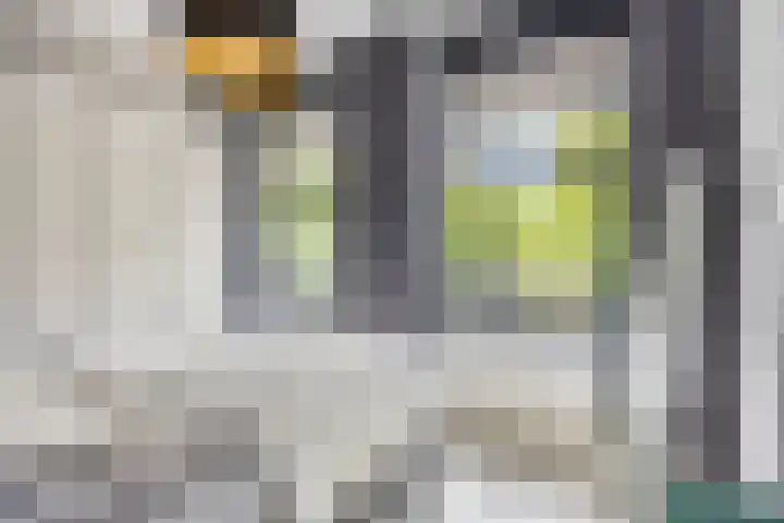 Zwijsenhof 51 Veghel thumbnail 4