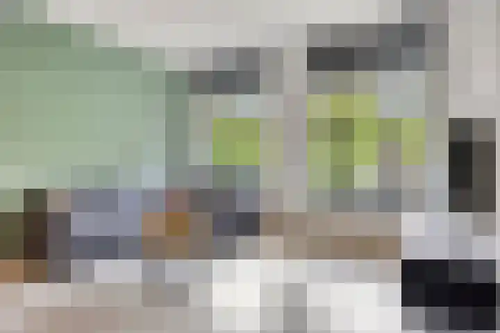 Zwijsenhof 51 Veghel thumbnail 7