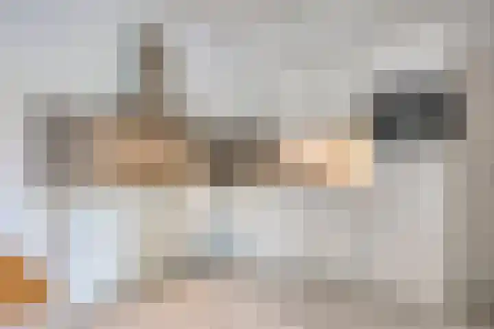 Zwijsenhof 51 Veghel thumbnail 8