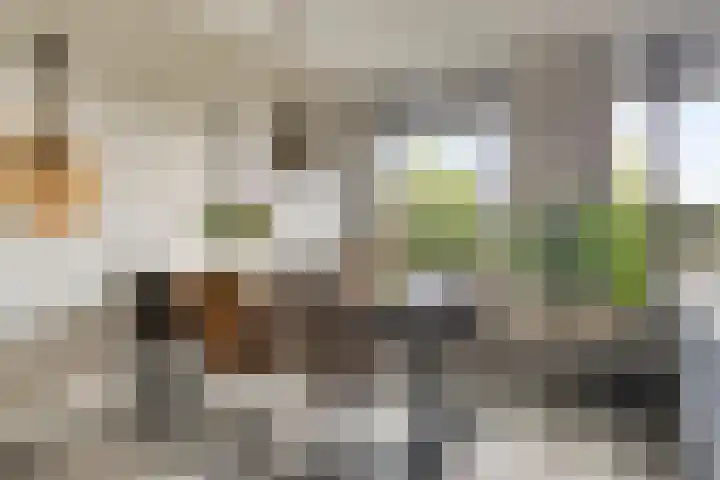 Zwijsenhof 54 Veghel thumbnail 10