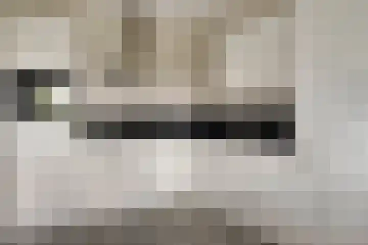 Zwijsenhof 54 Veghel thumbnail 11