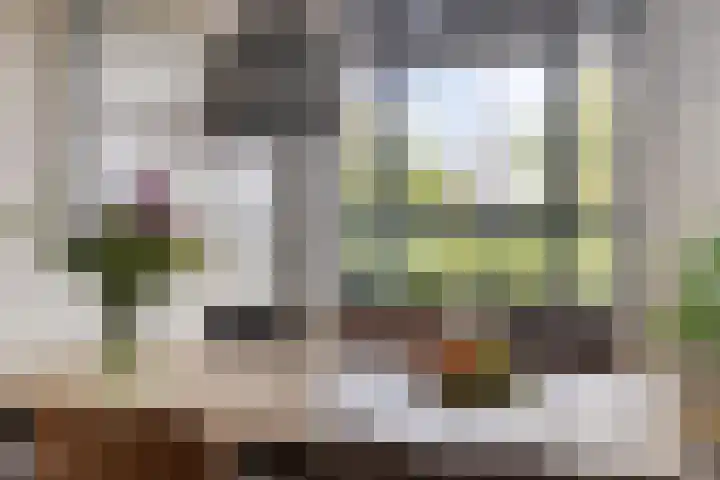 Zwijsenhof 54 Veghel thumbnail 14