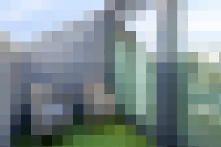 Zwijsenhof 54 Veghel thumbnail 21