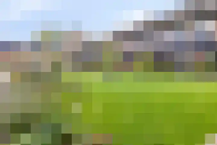 Zwijsenhof 54 Veghel thumbnail 23