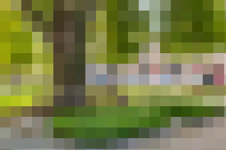 Zwijsenhof 54 Veghel thumbnail 24