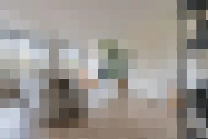 Zwijsenhof 56 Veghel thumbnail 10