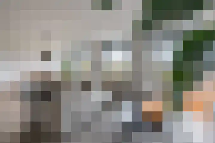 Zwijsenhof 56 Veghel thumbnail 12