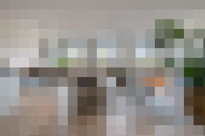 Zwijsenhof 56 Veghel thumbnail 13