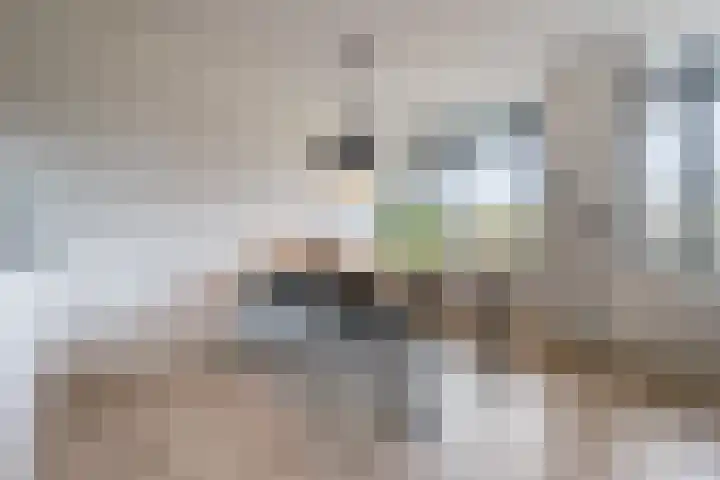 Zwijsenhof 56 Veghel thumbnail 16