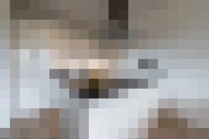 Zwijsenhof 56 Veghel thumbnail 18
