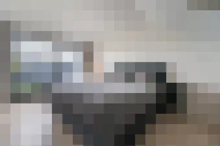 Zwijsenhof 56 Veghel thumbnail 27