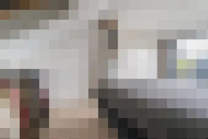 Zwijsenhof 56 Veghel thumbnail 29
