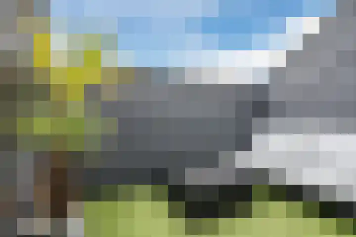 Zwijsenhof 56 Veghel thumbnail 31