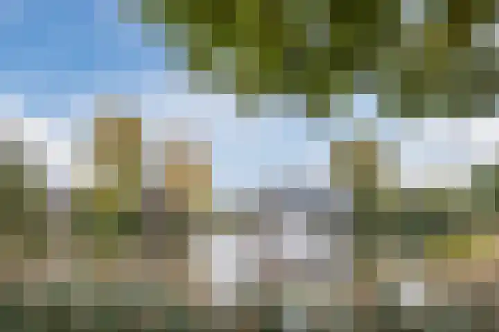 Zwijsenhof 56 Veghel thumbnail 38