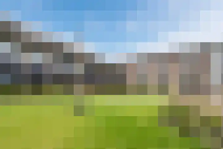 Zwijsenhof 56 Veghel thumbnail 47