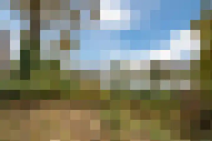 Zwijsenhof 56 Veghel thumbnail 55