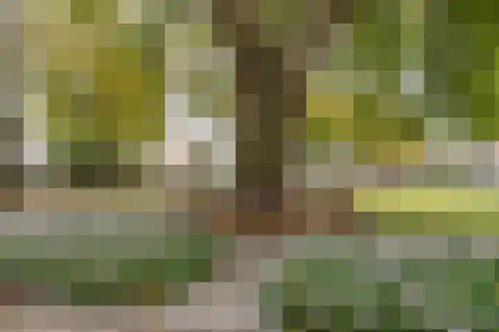 Zwijsenhof 56 Veghel thumbnail 56