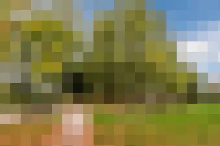 Zwijsenhof 56 Veghel thumbnail 59