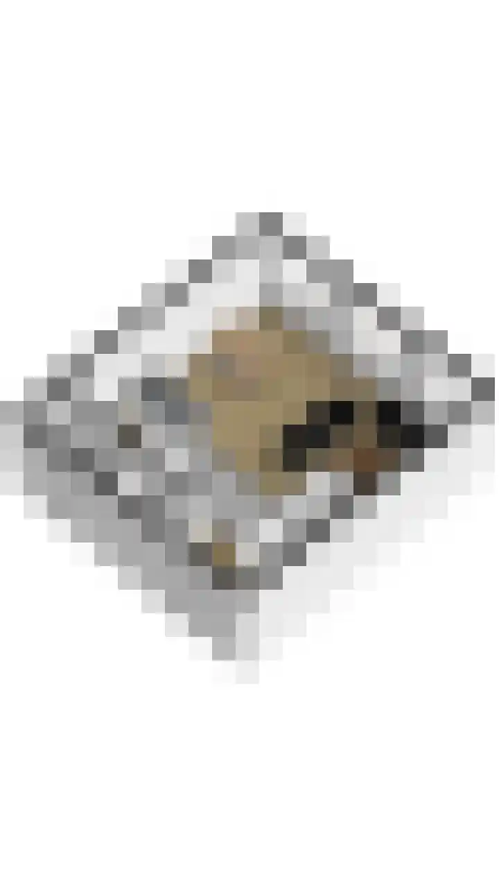 Zwijsenhof 56 Veghel thumbnail 61