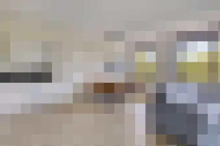 Zwijsenhof 57 Veghel thumbnail 11
