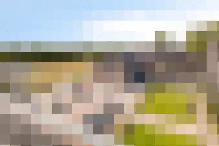 Zwijsenhof 57 Veghel thumbnail 20