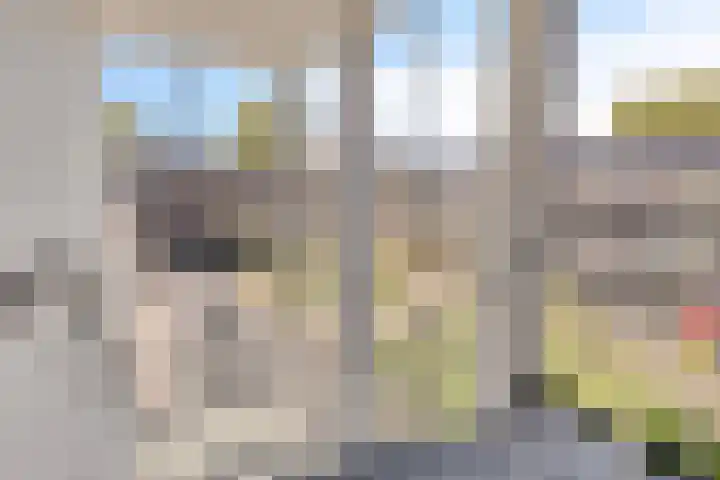 Zwijsenhof 57 Veghel thumbnail 4