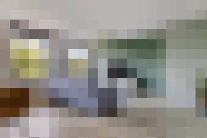 Zwijsenhof 57 Veghel thumbnail 8