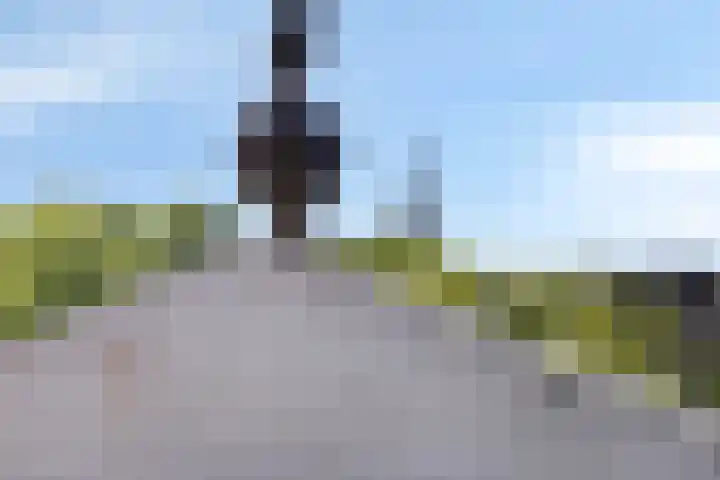 Zwijsenhof 59 Veghel thumbnail 25