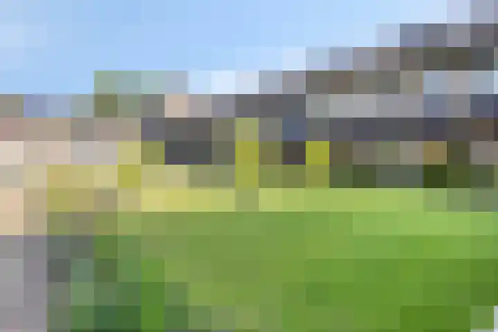 Zwijsenhof 59 Veghel thumbnail 27