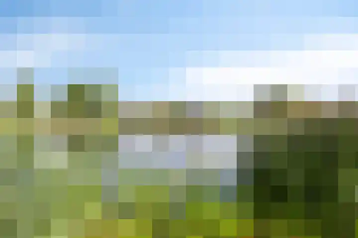 Zwijsenhof 59 Veghel thumbnail 31