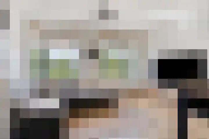 Zwijsenhof 59 Veghel thumbnail 7