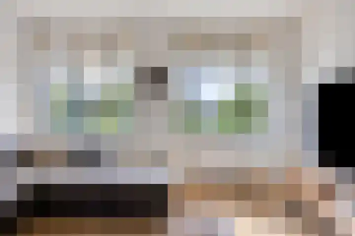 Zwijsenhof 59 Veghel thumbnail 8