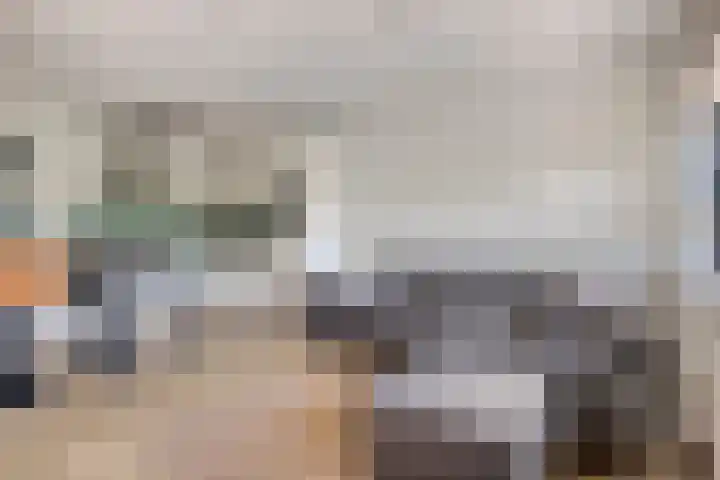 Zwijsenhof 59 Veghel thumbnail 9