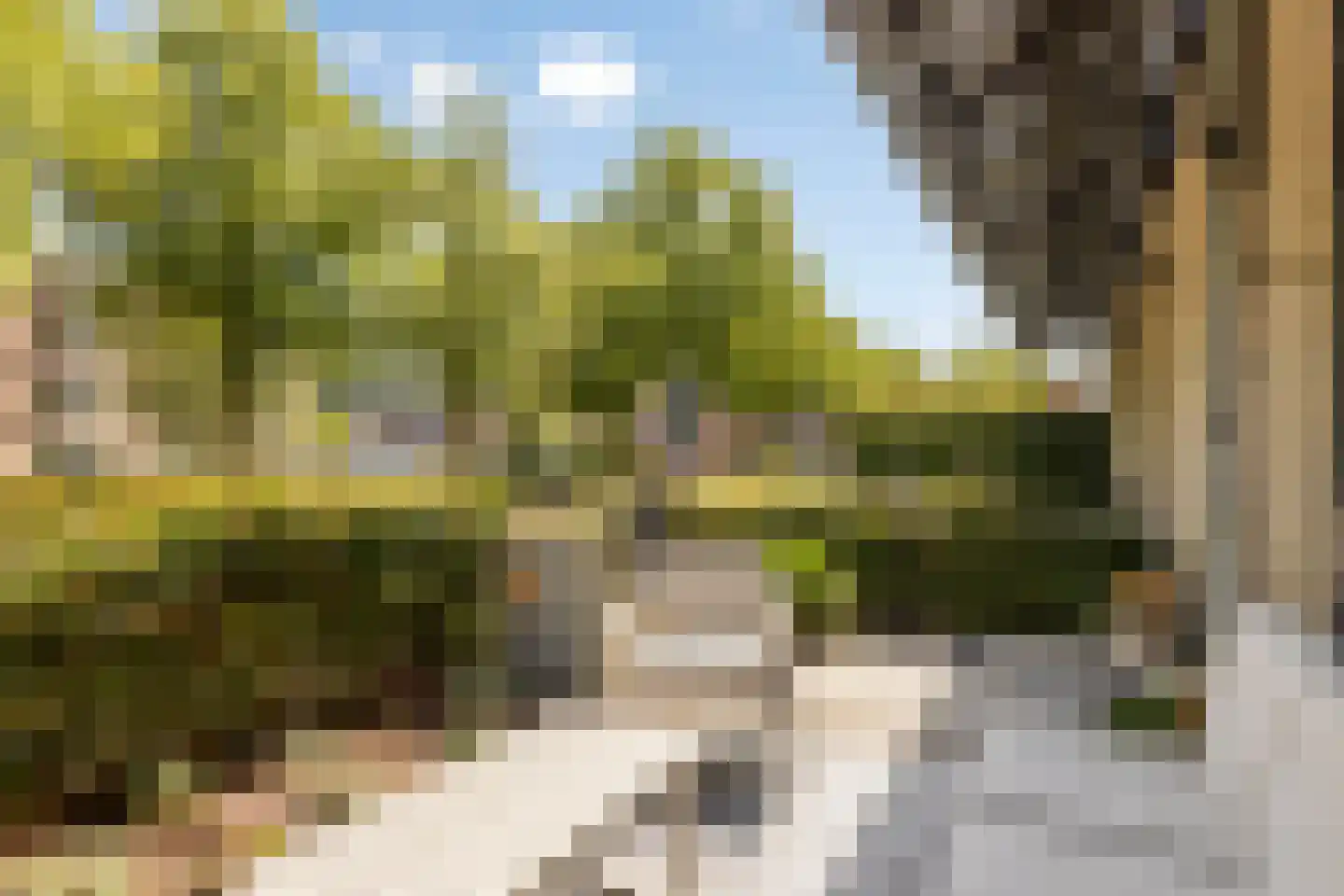 Zwijsenhof 63 Veghel thumbnail 20