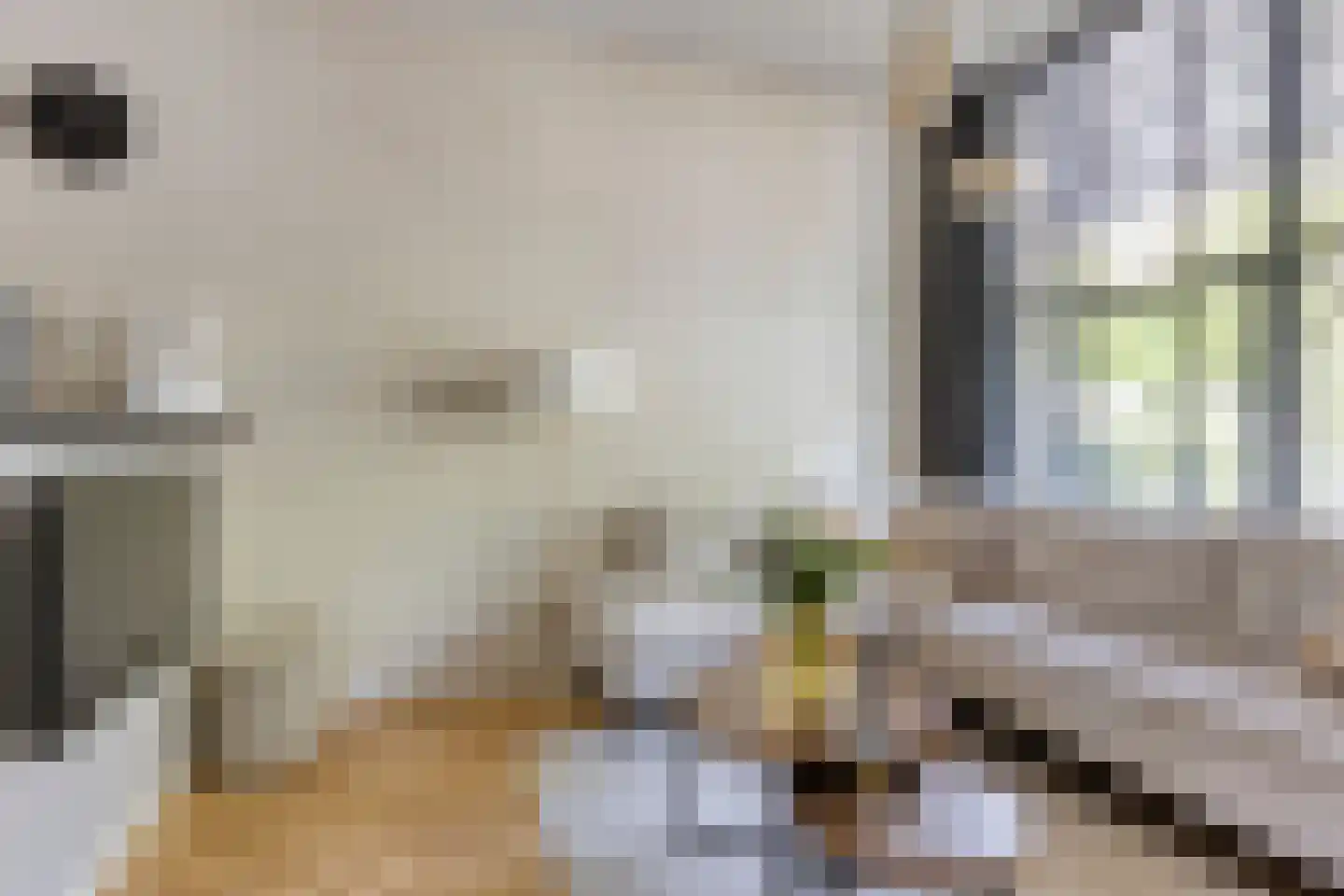 Zwijsenhof 63 Veghel thumbnail 9