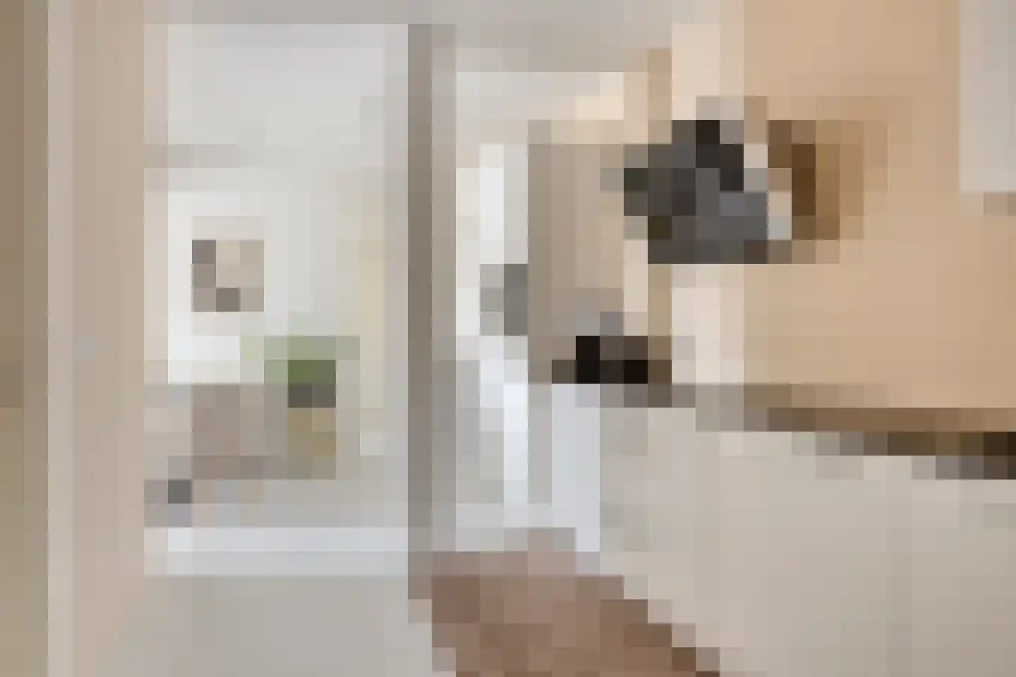 Zwijsenhof 80 Veghel thumbnail 14